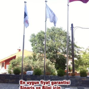 Bayrak-diregi