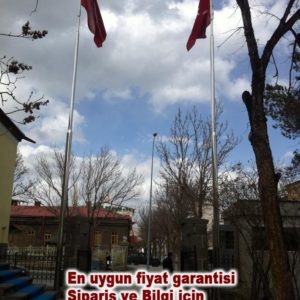 Bayrak-diregi