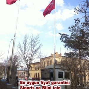 Bayrak-diregi