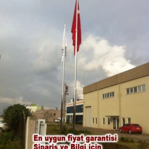 Bayrak-diregi