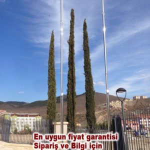 Bayrak_direkleri_9